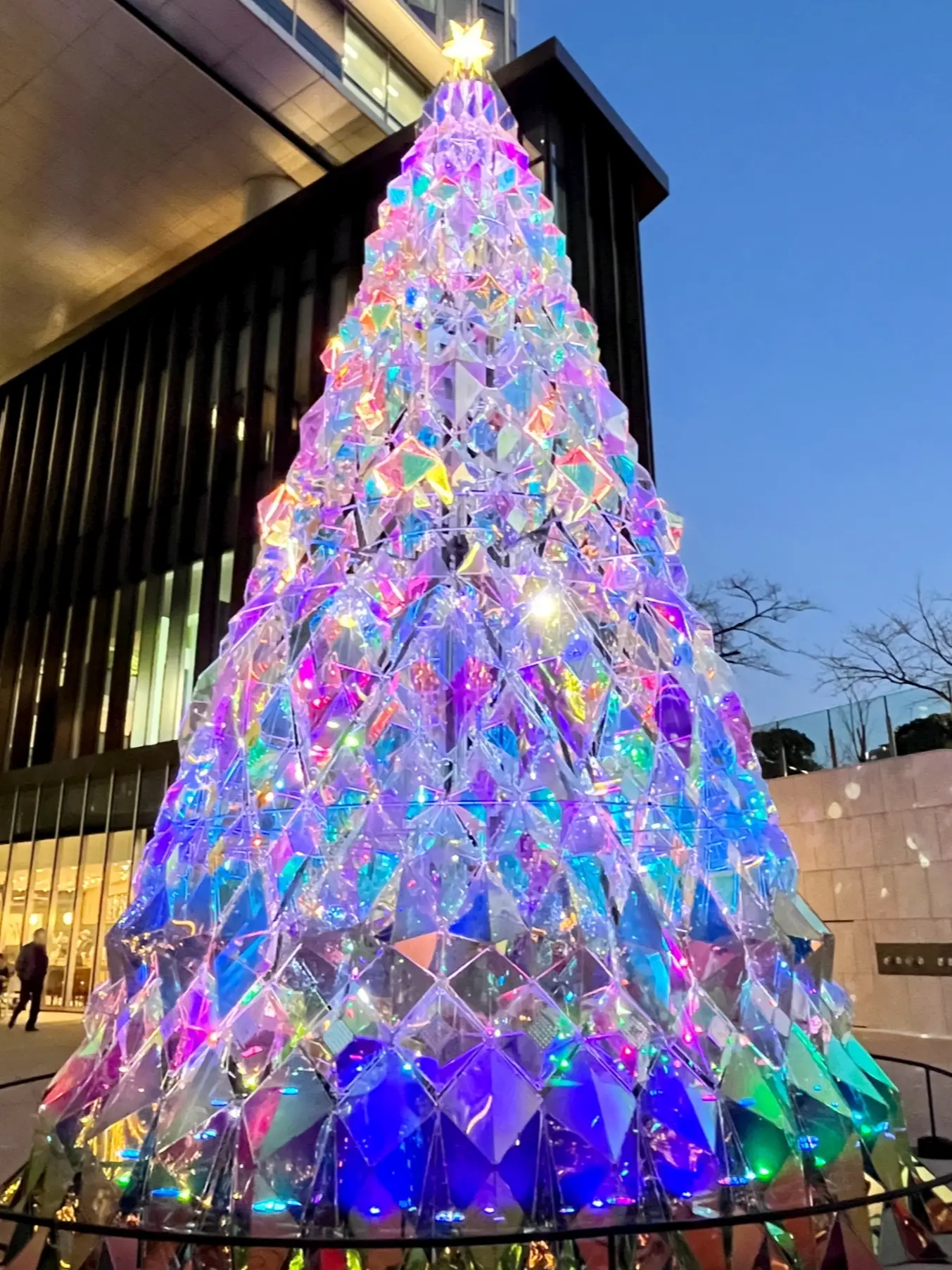 続・続・Jマダムメンバーとキラキラ観賞☆⭐︎☆_1_19