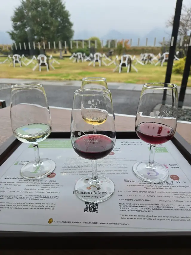 ワインツーリズム やまなし・秋 2025 勝沼_1_20