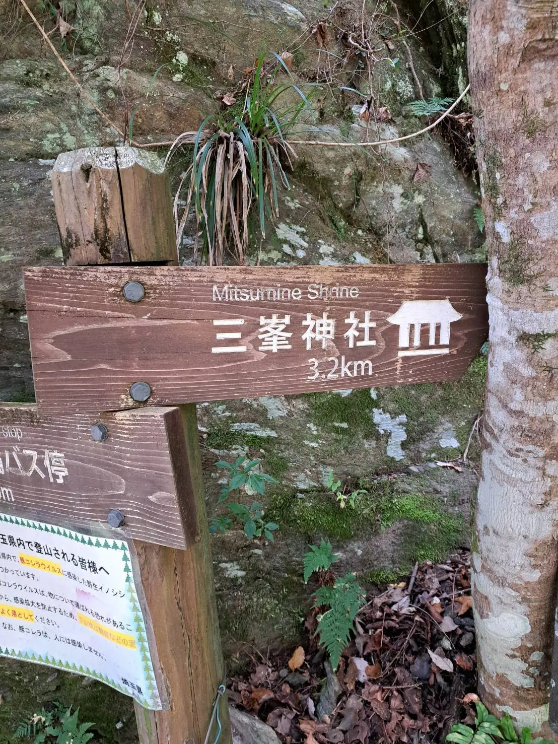 三峯神社まで3.2km！楽勝？?