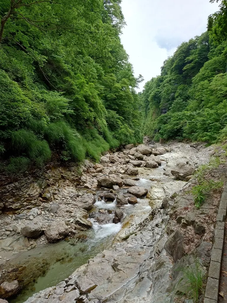 遊歩道の帰り