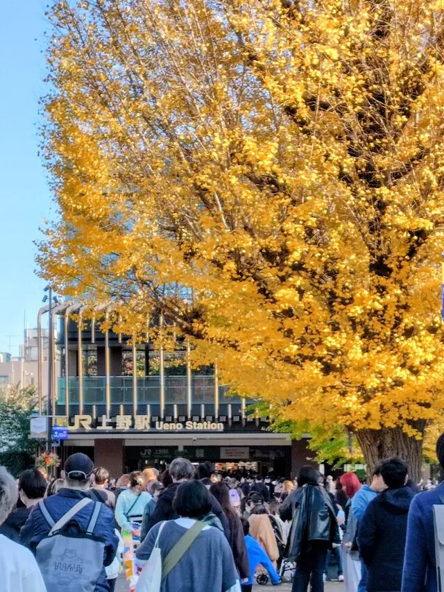 スカーフスタイルで紅葉の上野&amp;老舗グルメ_1_1