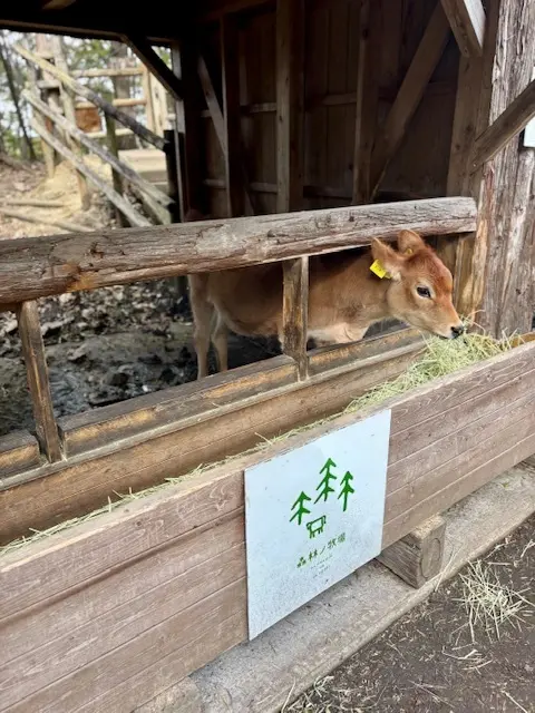愛犬と那須へおでかけ♪牧場ランチ＆美しい紅葉_1_5