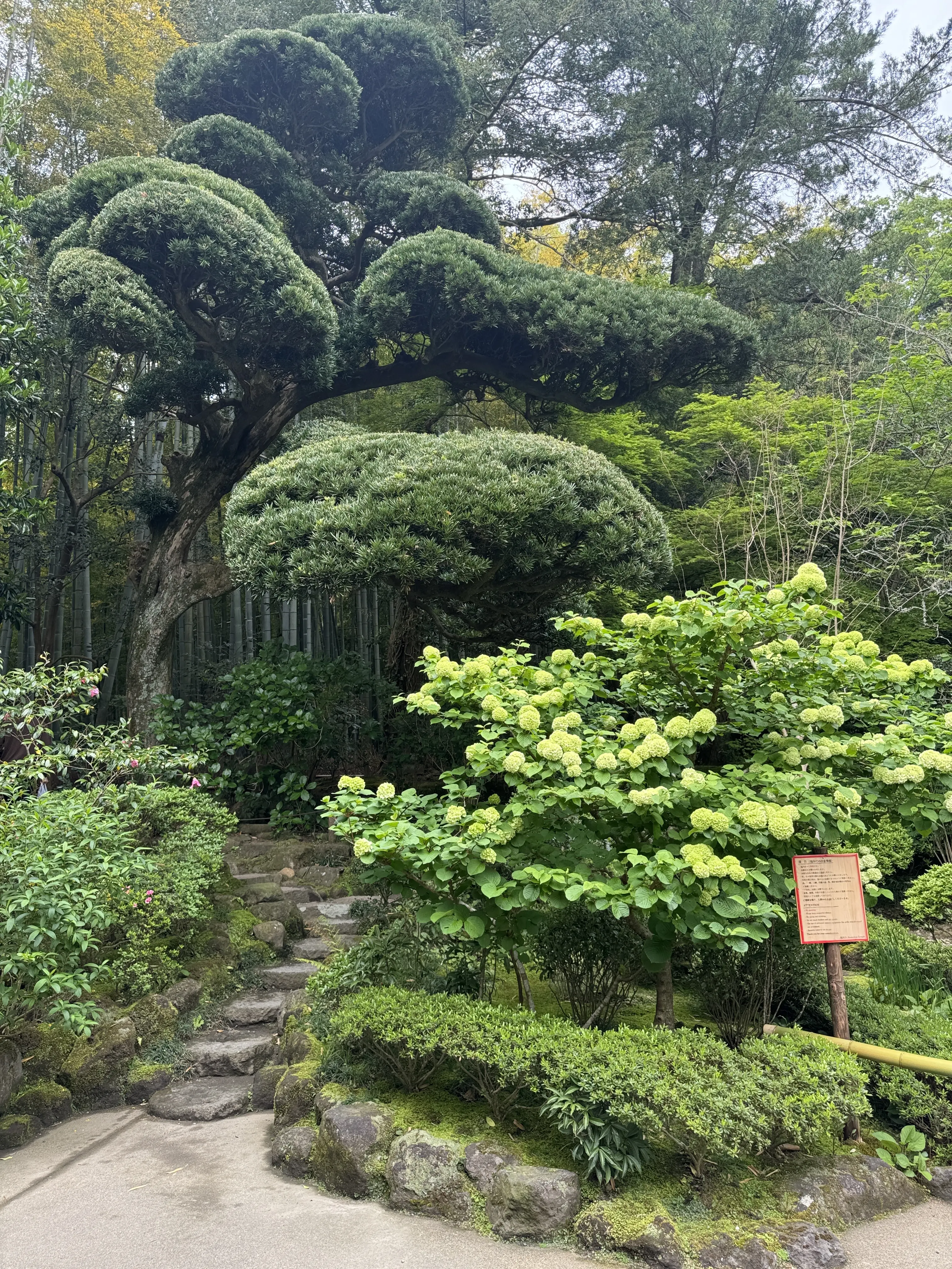 新緑の清々しい風を感じに鎌倉へ🌿_1_5