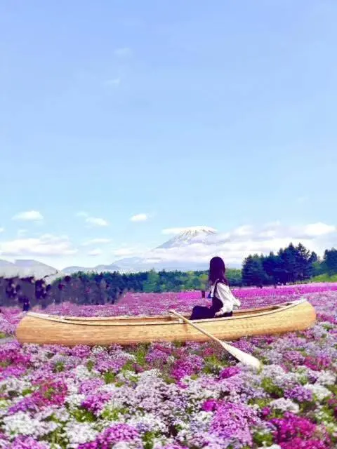 「ピンクの海を旅する小舟」