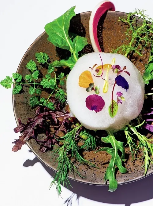 「庭園風サラダ」。30種以上の野菜を使い、さまざまな味わい、テクスチャーと香りを存分に楽しめる