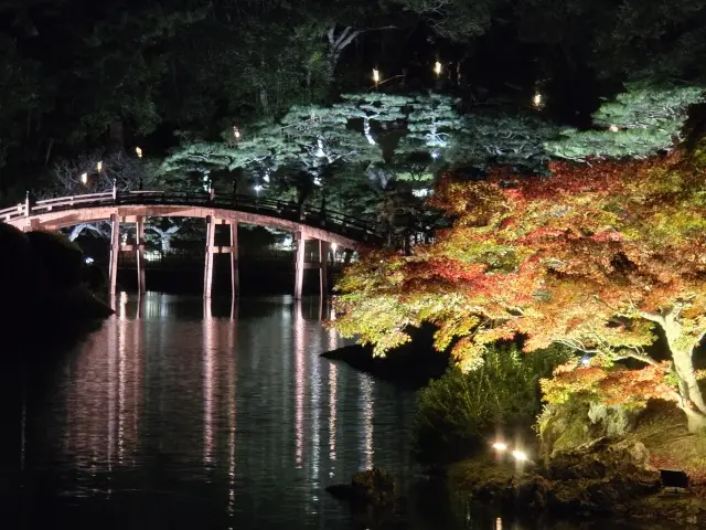 栗林公園ライトアップ_1_10