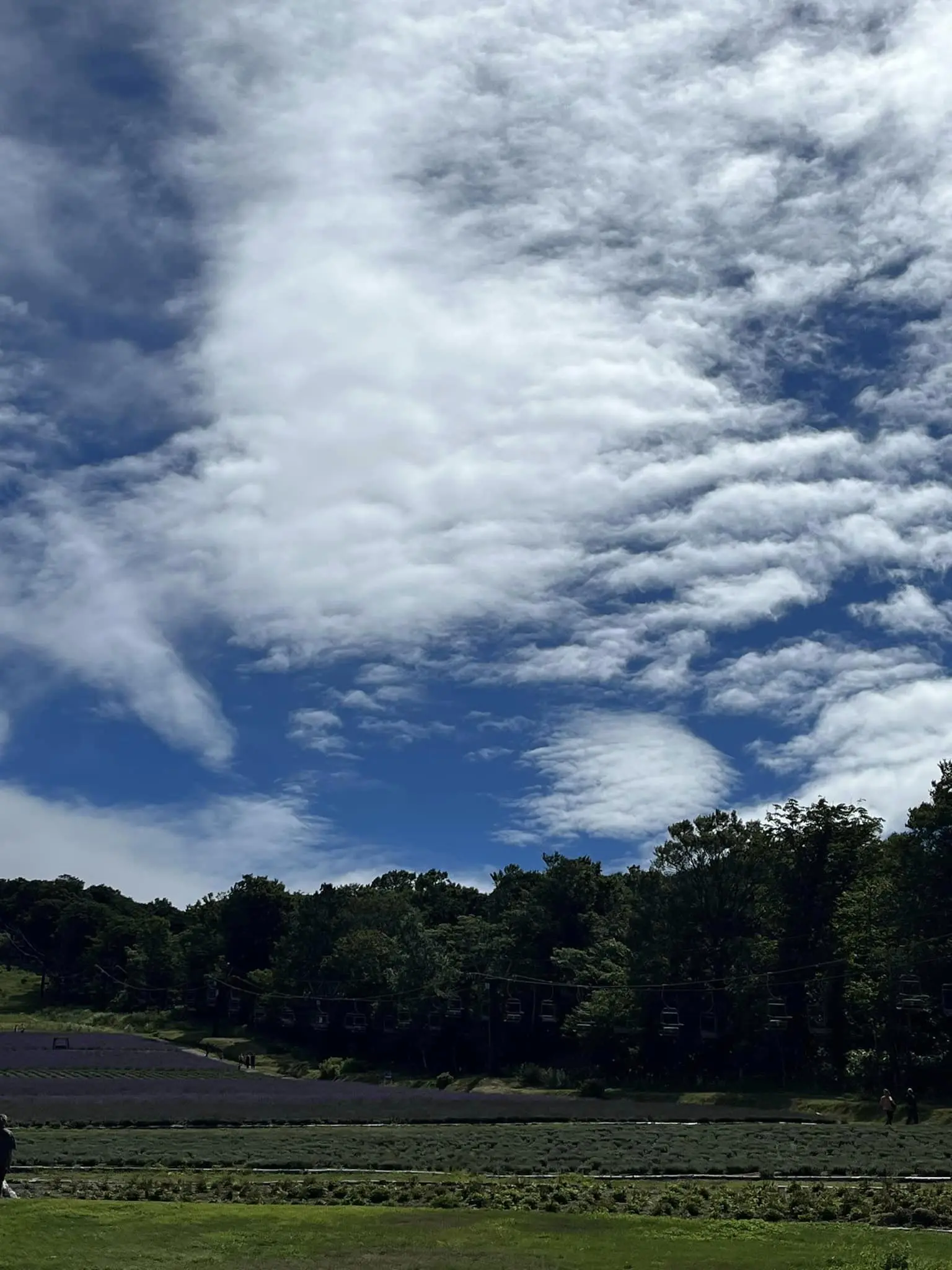 ラベンダーパークと滝。自然満喫のの夏の群馬ドライブ。_1_3-3