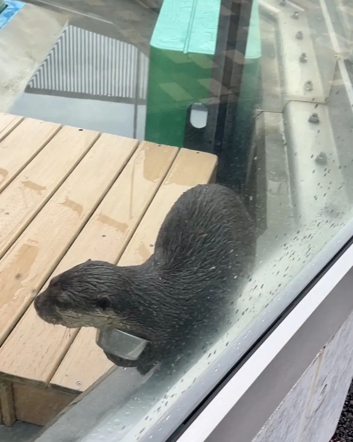 秋の東京おすすめお出かけスポット_1_4-1