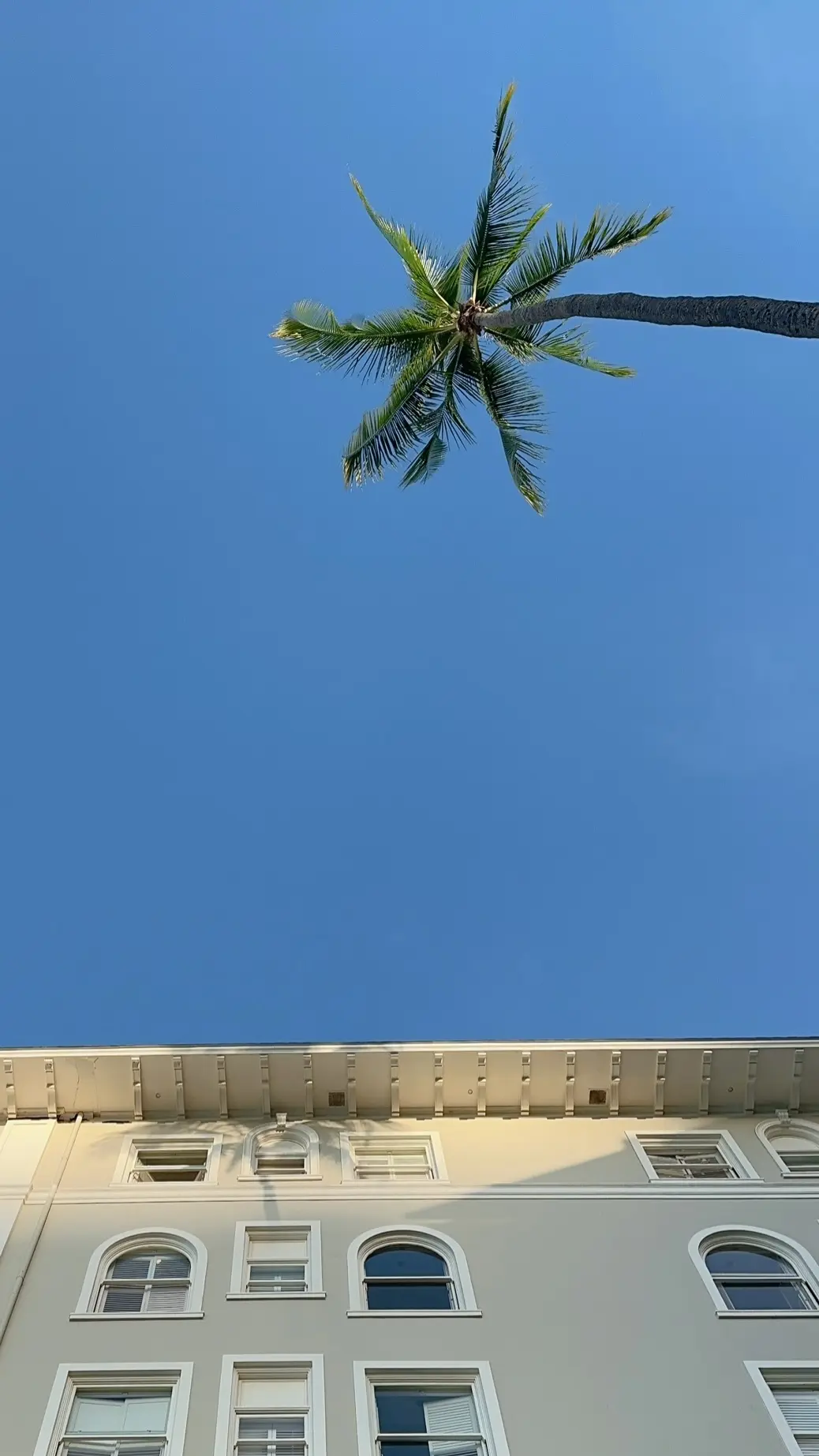 モアナサーフライダー中庭からの青空