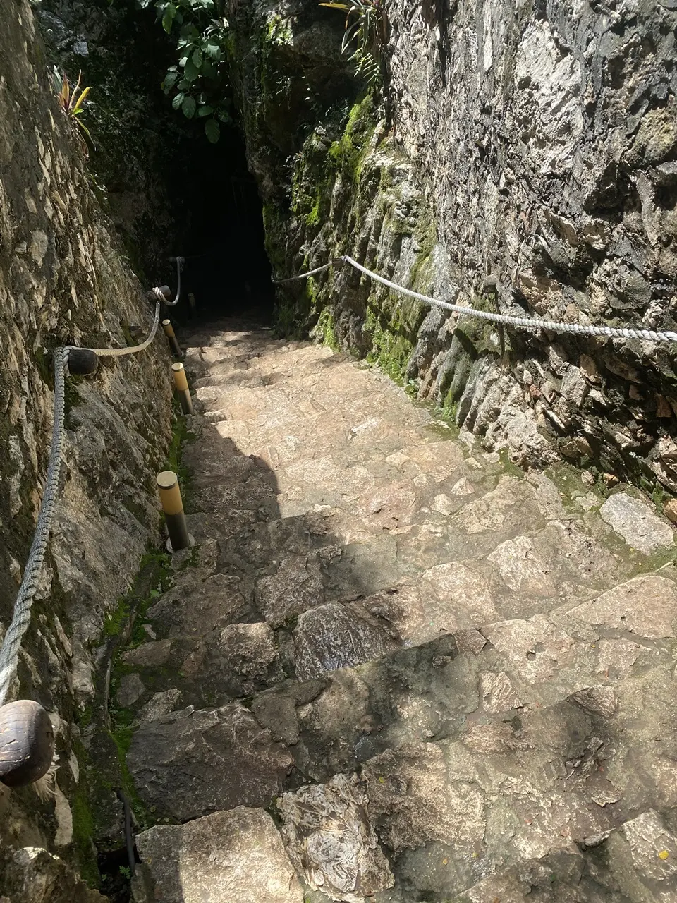 Cenote 入口階段