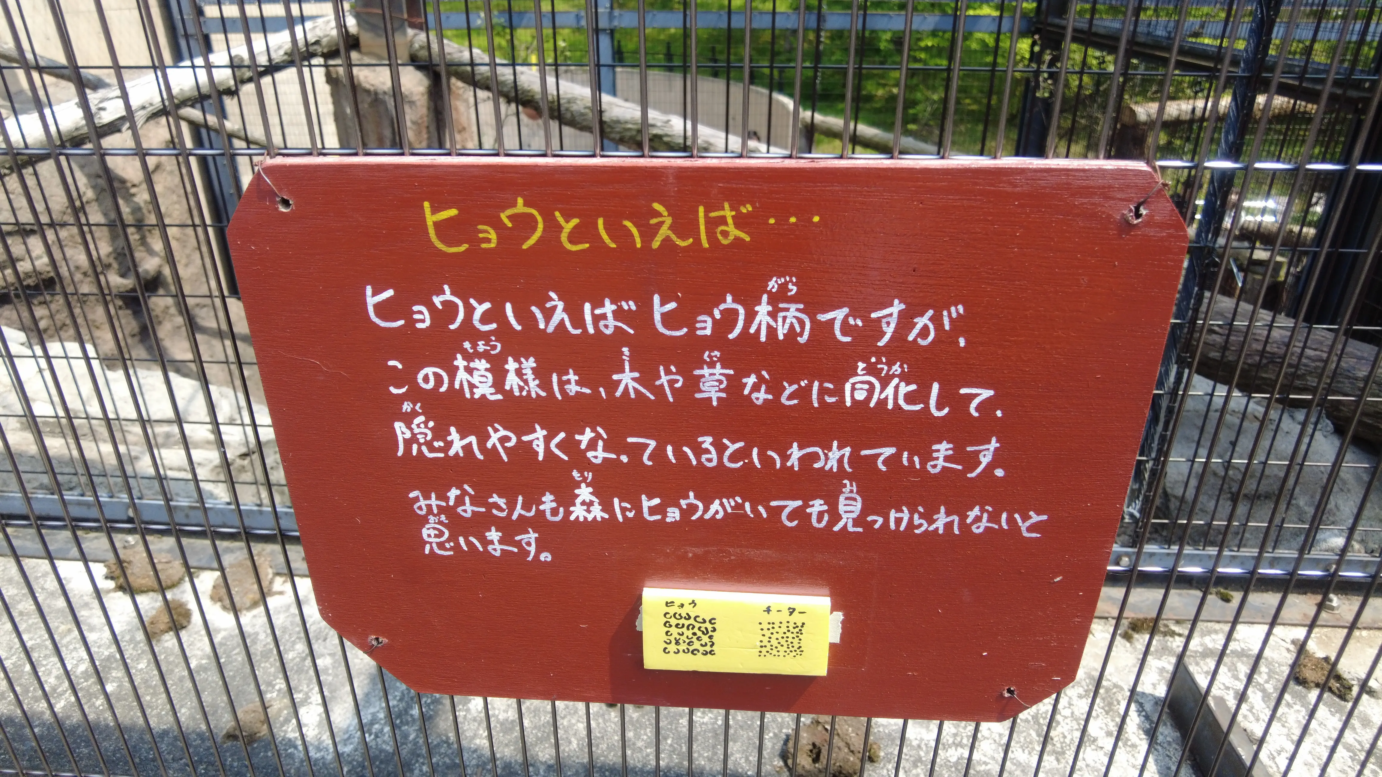 念願だった北海道旭川市「旭山動物園」行ってきました～♪_1_9-2