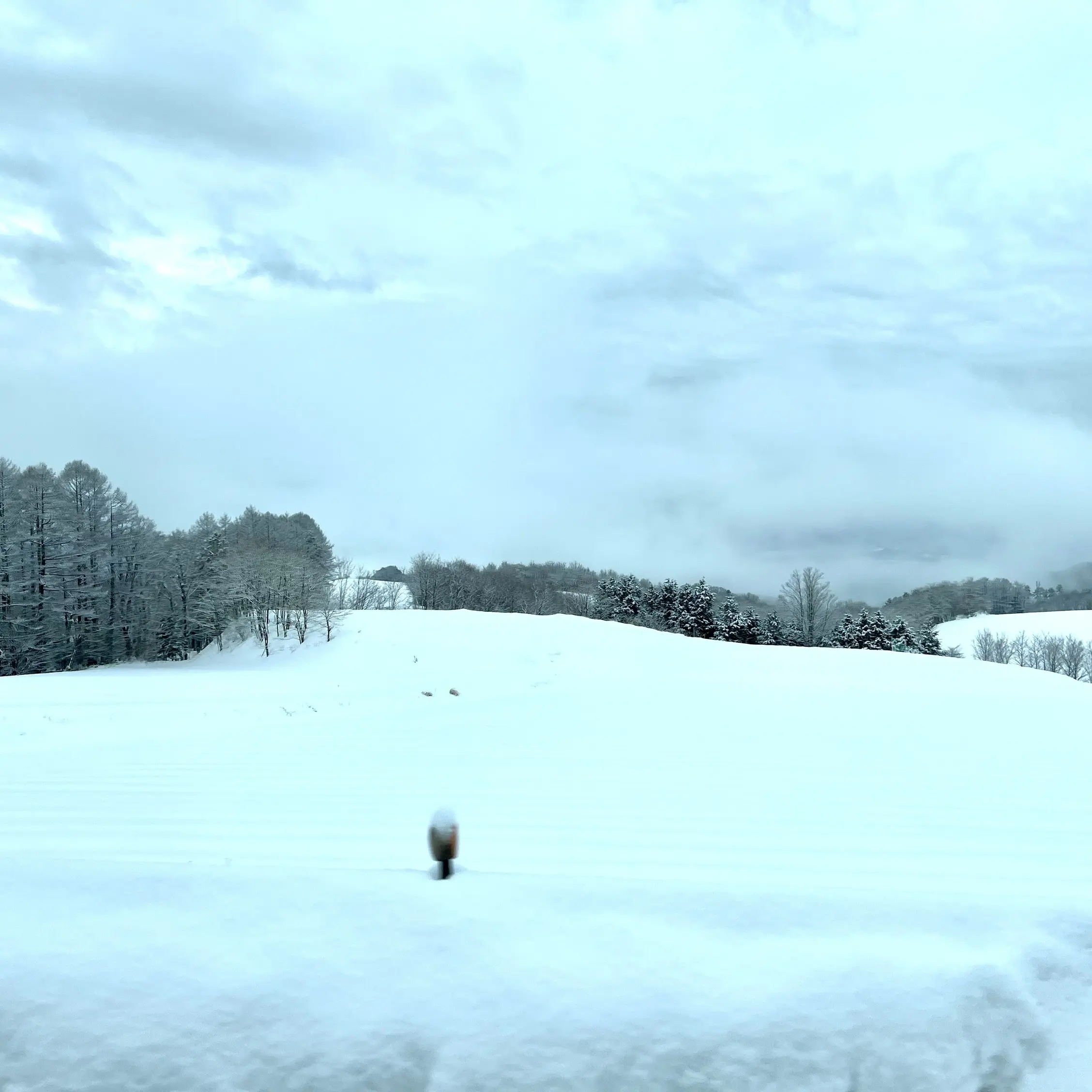 草津から万座温泉への移動途中の雪景色