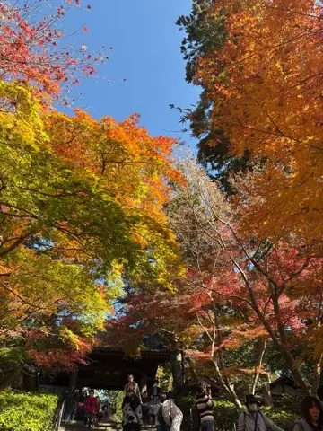 想像以上の絶景に出会えた神奈川の紅葉の見どころ〜北鎌倉・鎌倉編〜_1_6