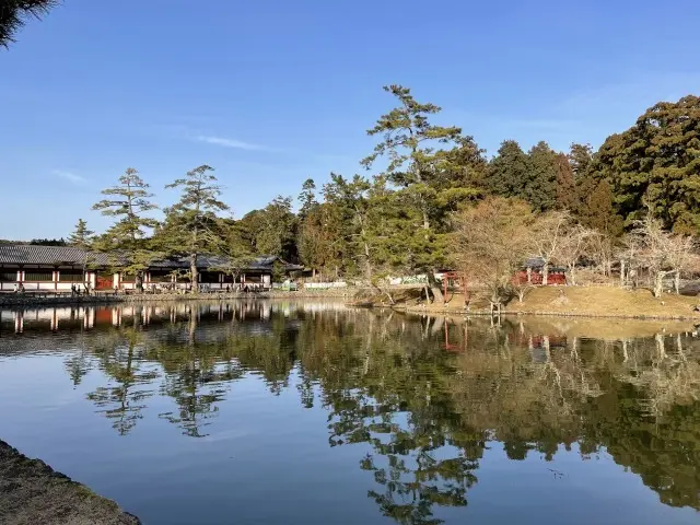 息子と奈良・京都旅行Part１_1_7-1