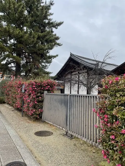 息子と奈良・京都旅行Part２_1_4-3