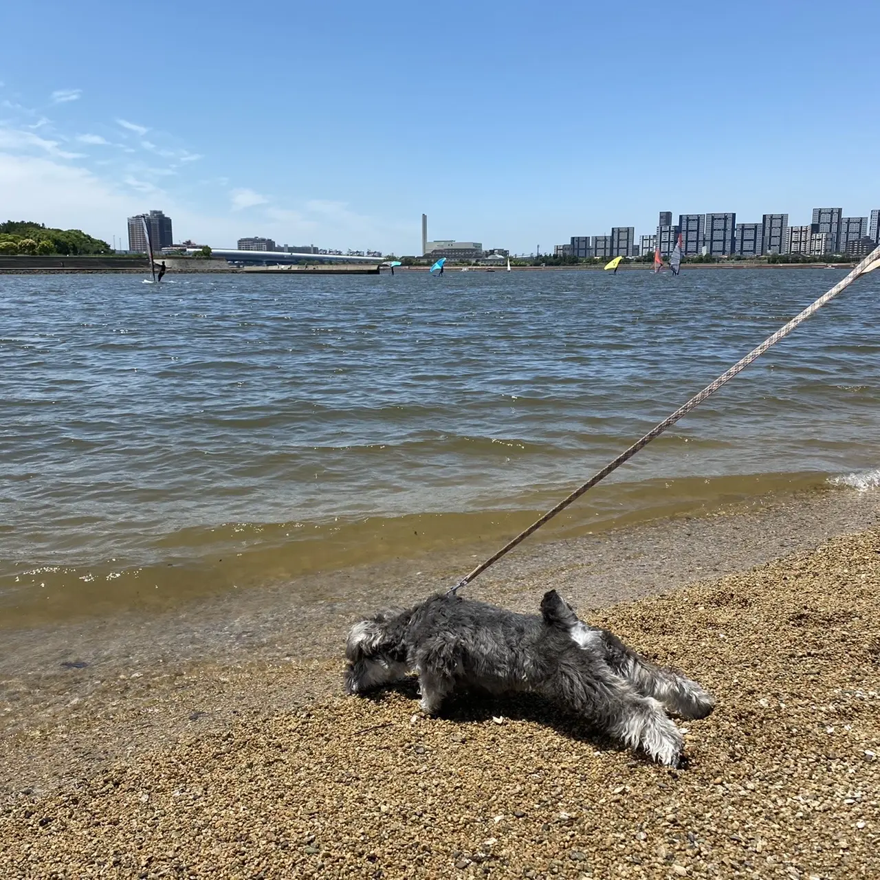 初めての海の味_1_4