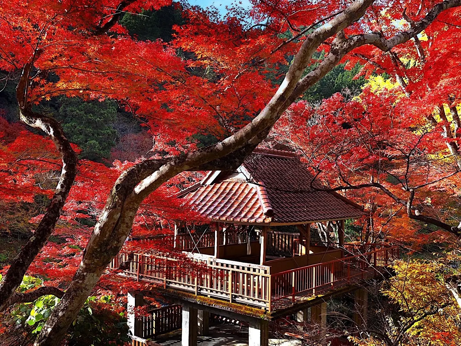 UNIQLOボアカーディガンで、人気の紅葉スポットで秋満喫_1_3