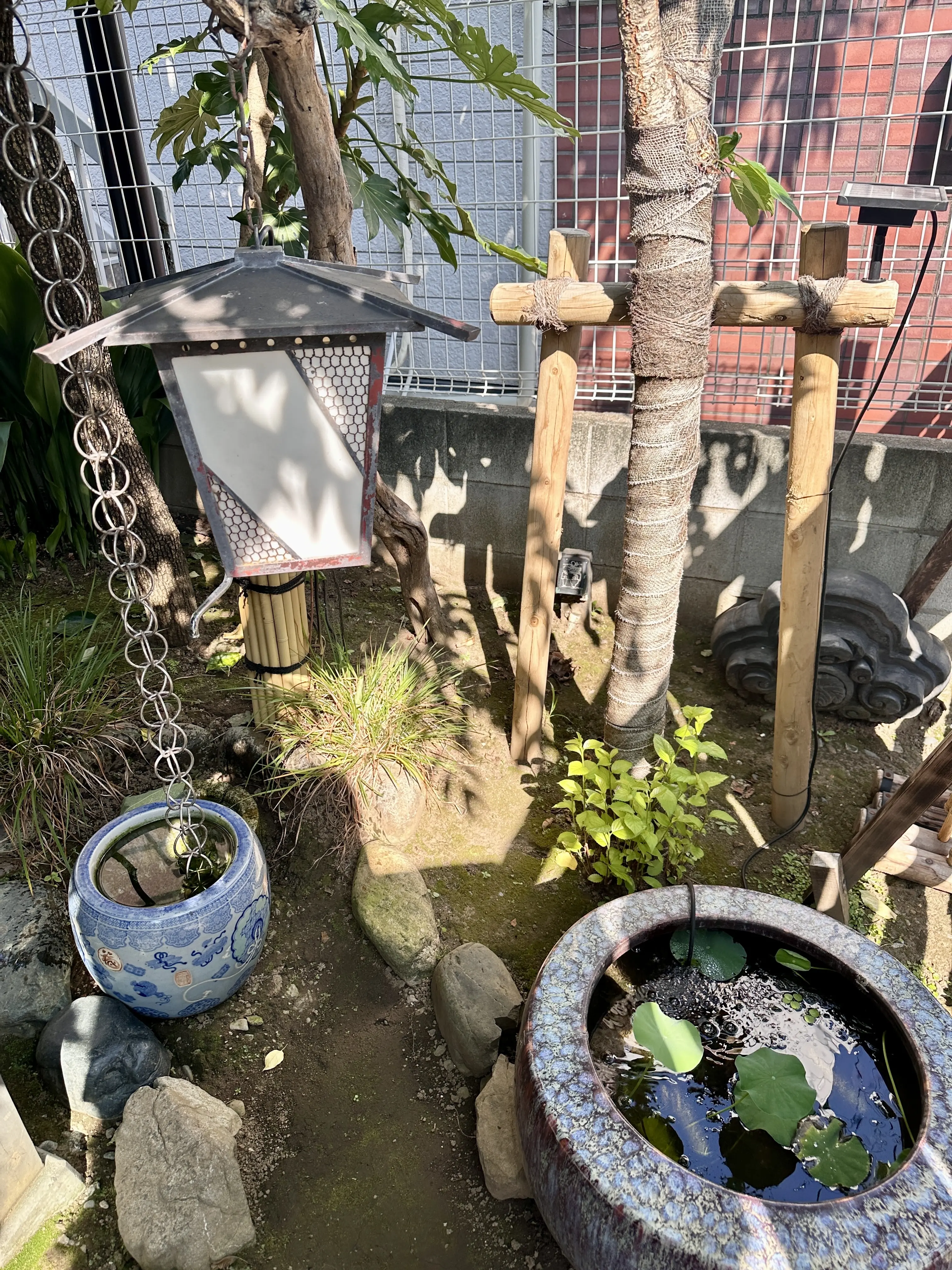 代官山で見つけた癒しカフェ、おひとり様もOK♡_1_11-1
