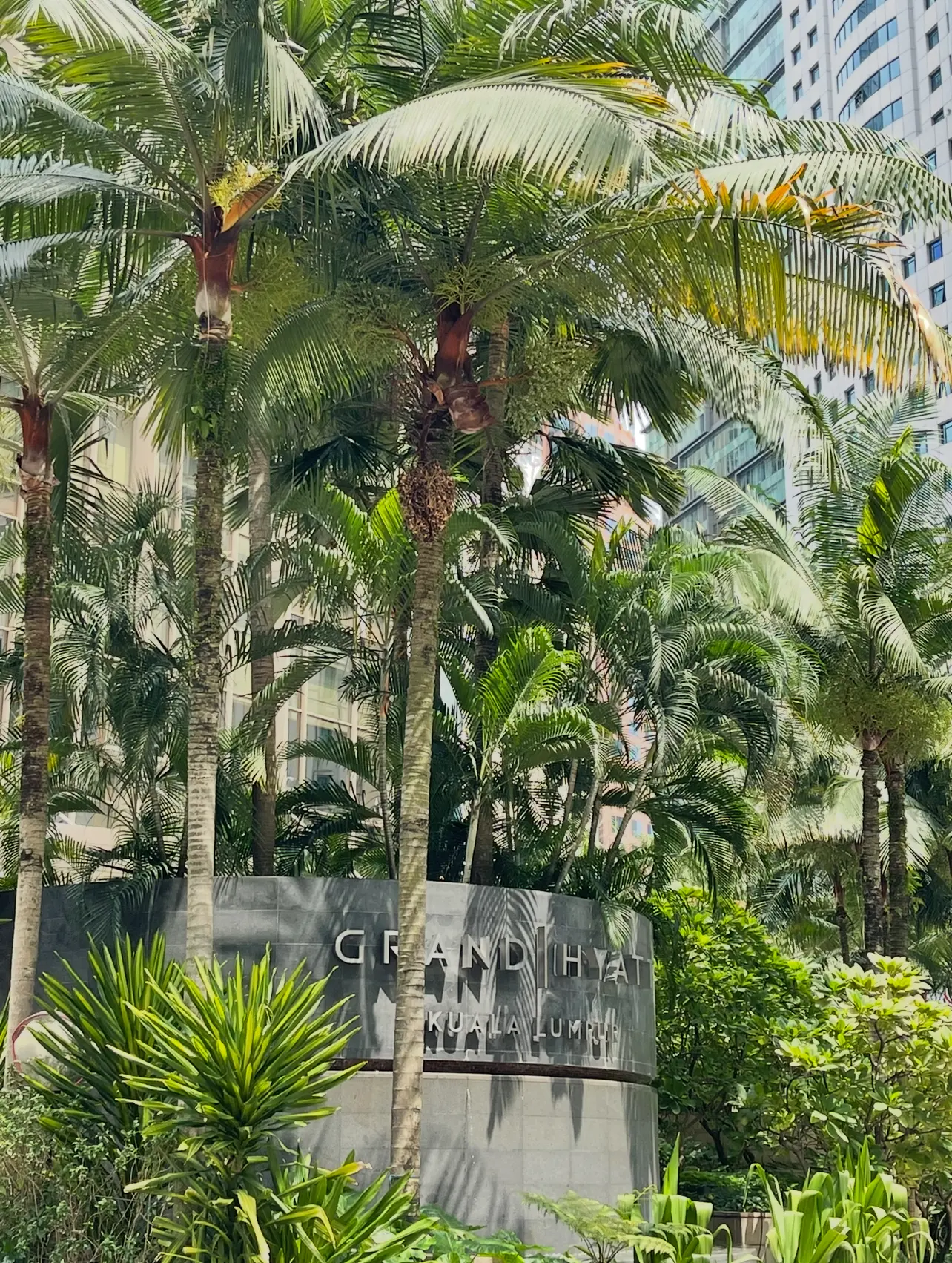 遅めの夏休みはマレーシアへ⭐︎オススメホテル🇲🇾_1_4