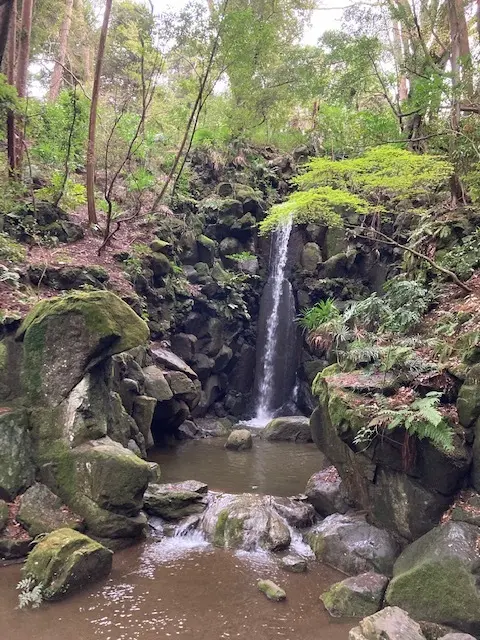 成田山公園の雄飛の滝。エクラ・Jマダムのブログ。