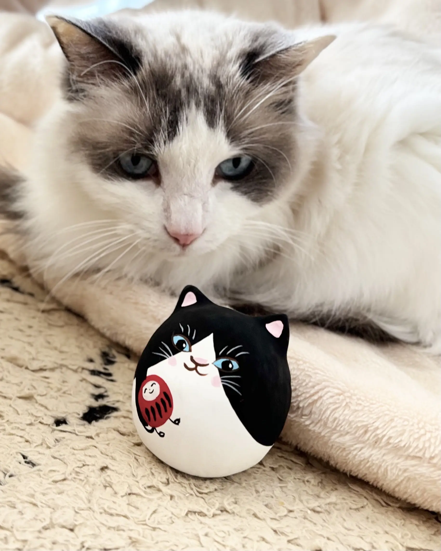 《だるチャン ニャンとかなるだる》と猫（上の子）