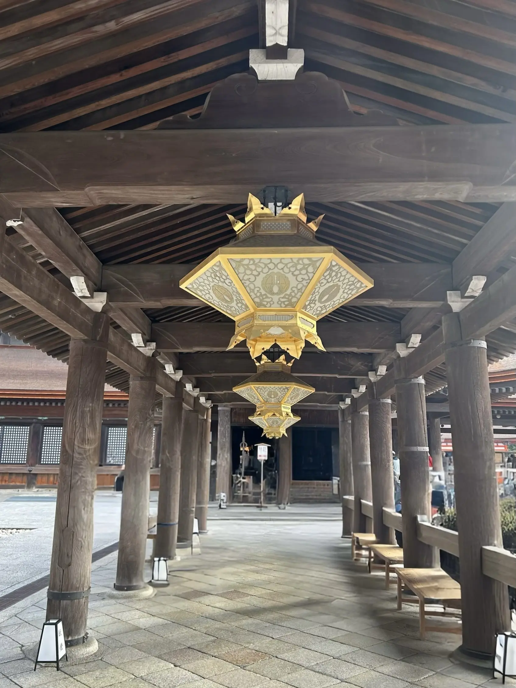 「そうだ京都、行こう。」🍂✨_1_6