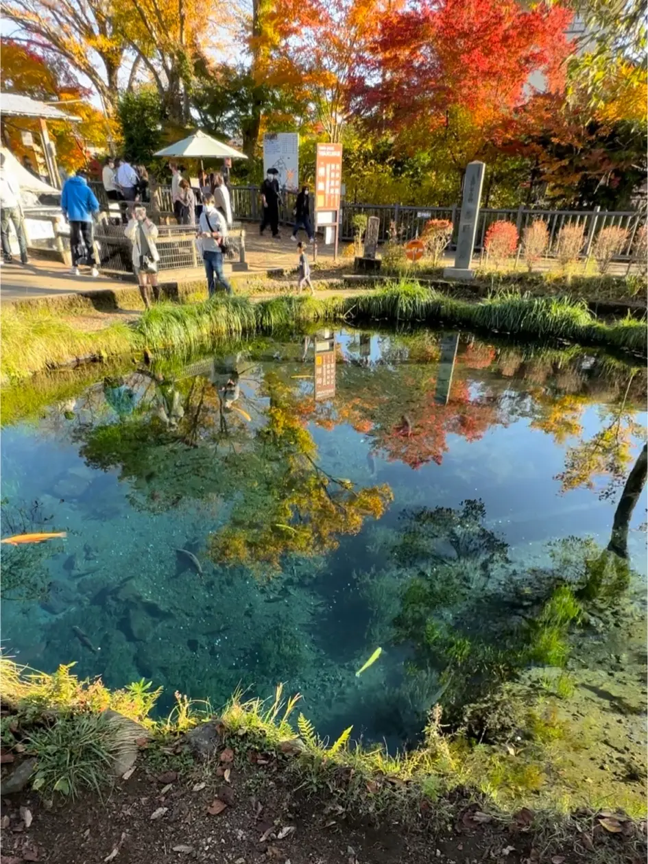 湧池　ヒーリングスポット　癒しスポット