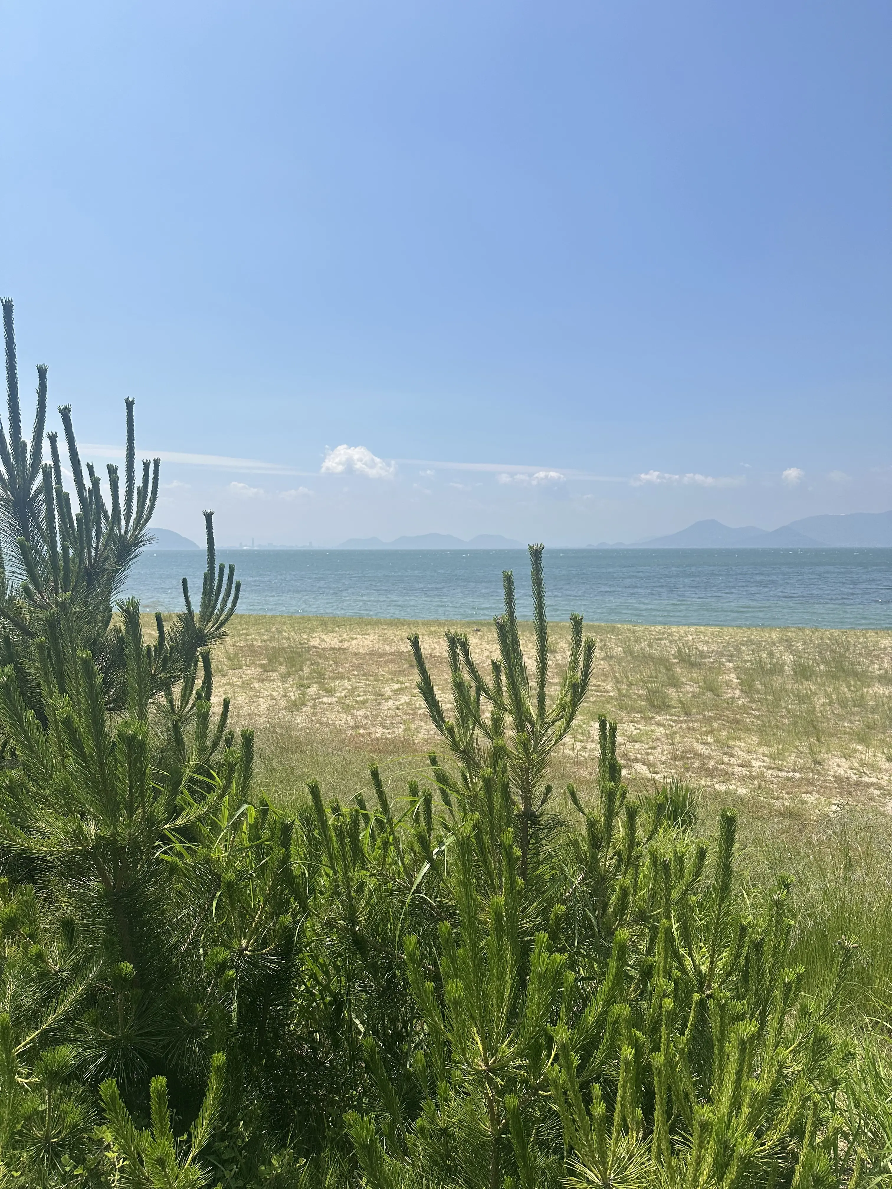 【母妹と直島アートの旅　DAY2】_1_15