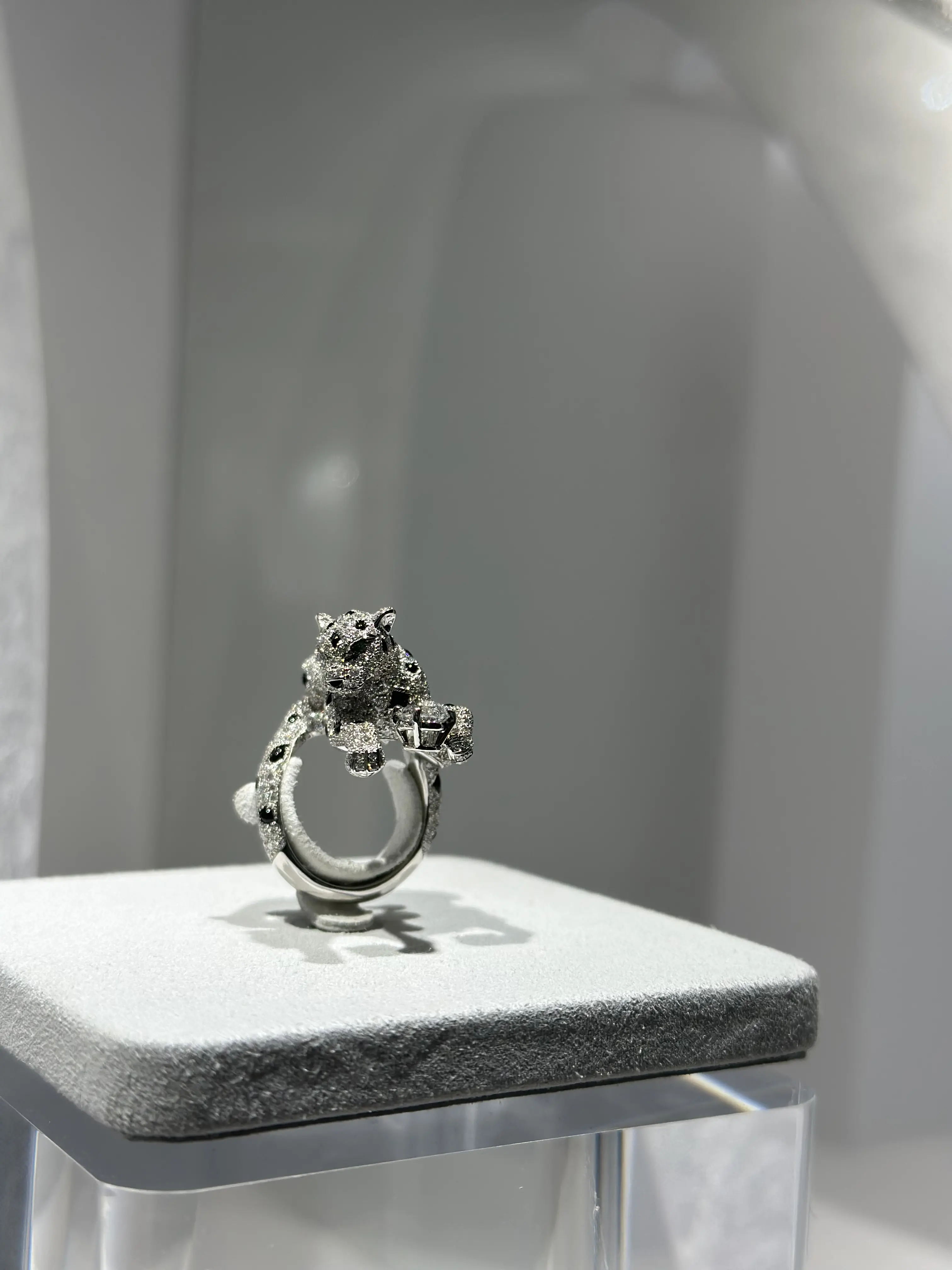 Cartier&quot;INTO TO THE WILD&quot;へ_1_6-1