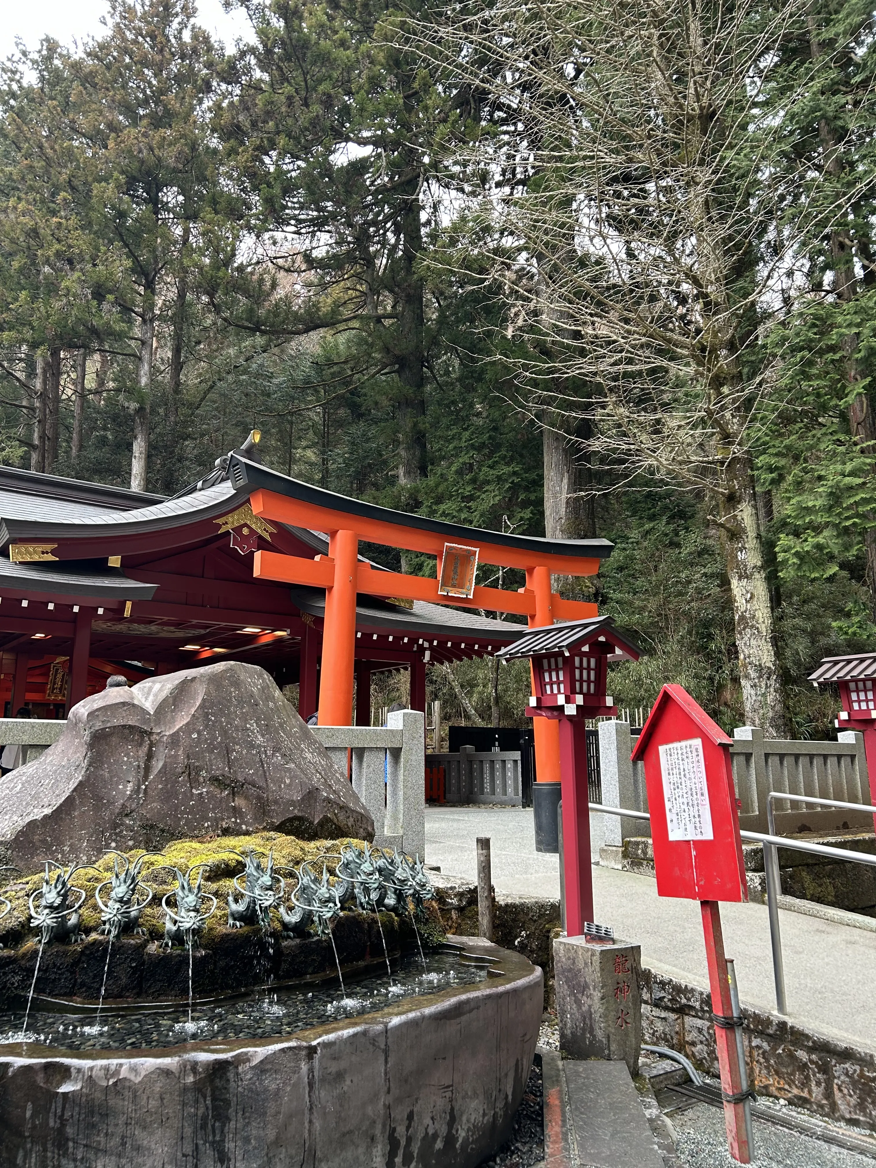 箱根神社へ新年のご挨拶⛩️_1_3