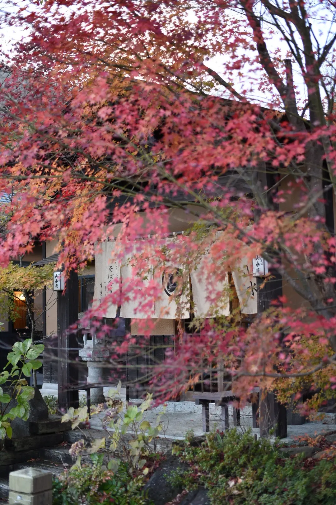 晩秋の那須高原へ紅葉狩りに_1_8