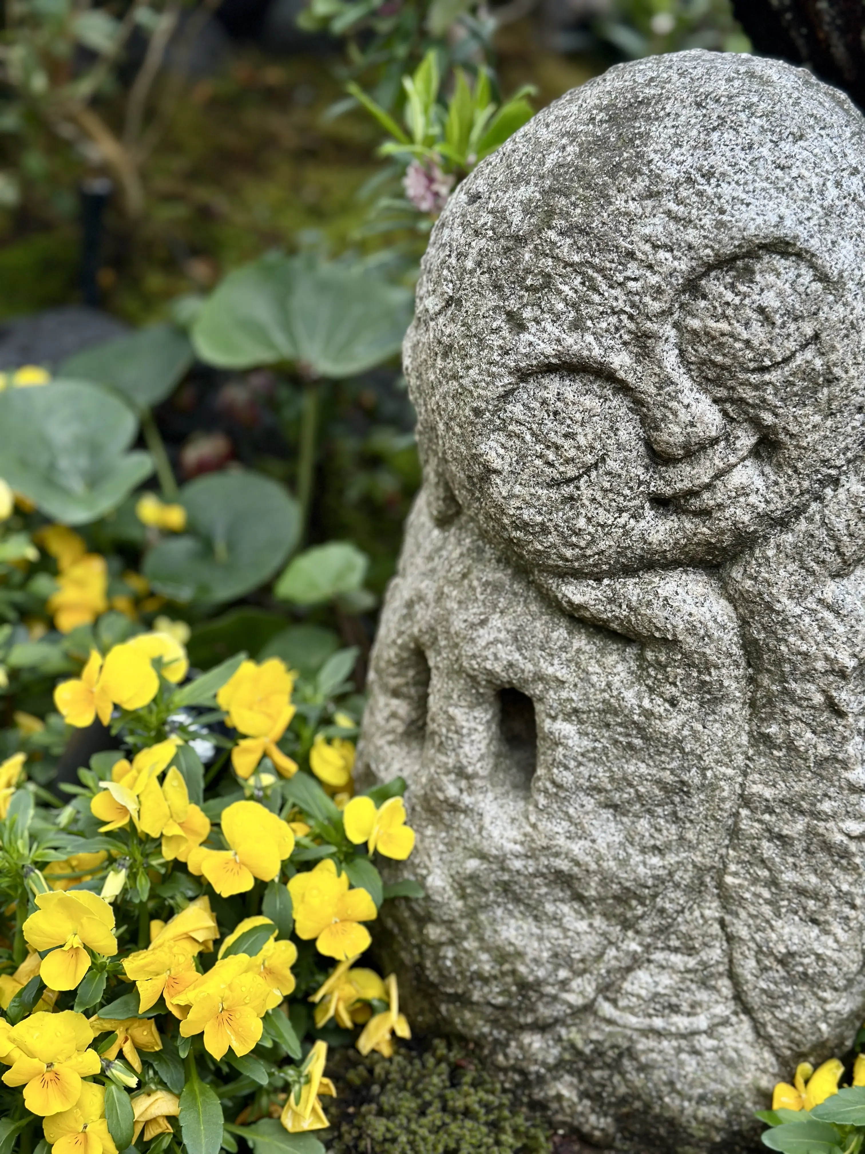 【鎌倉さんぽ】お寺巡りとMOKICHI KAMAKURAでランチ_1_9-2