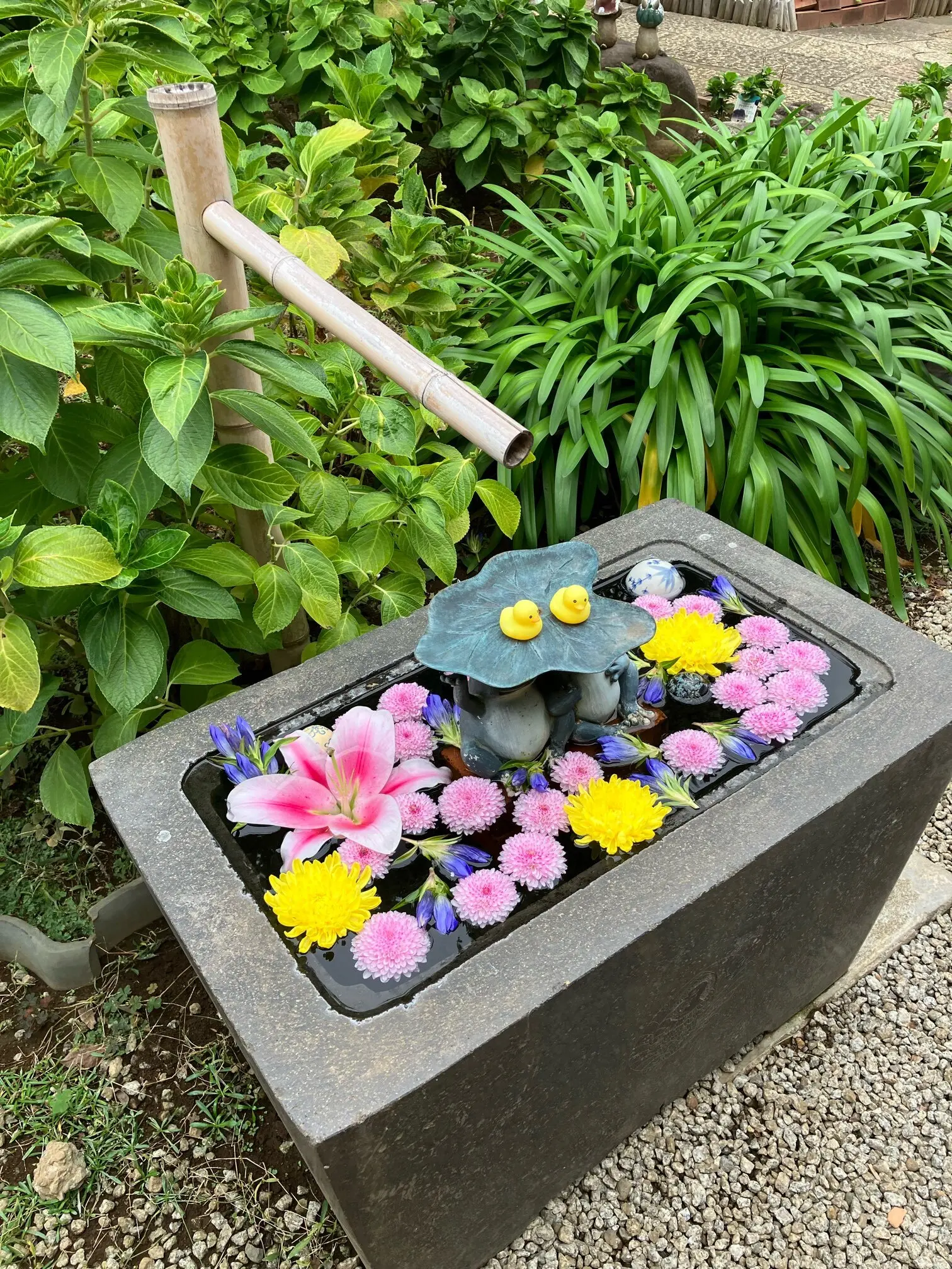 御朱印 法輪寺 切り絵御朱印 早稲田駅 お散歩 御朱印さんぽ 花手水 東京さんぽ 担々麺 岡山担々麺 定膳 EKUBODO Tokyo 早稲田