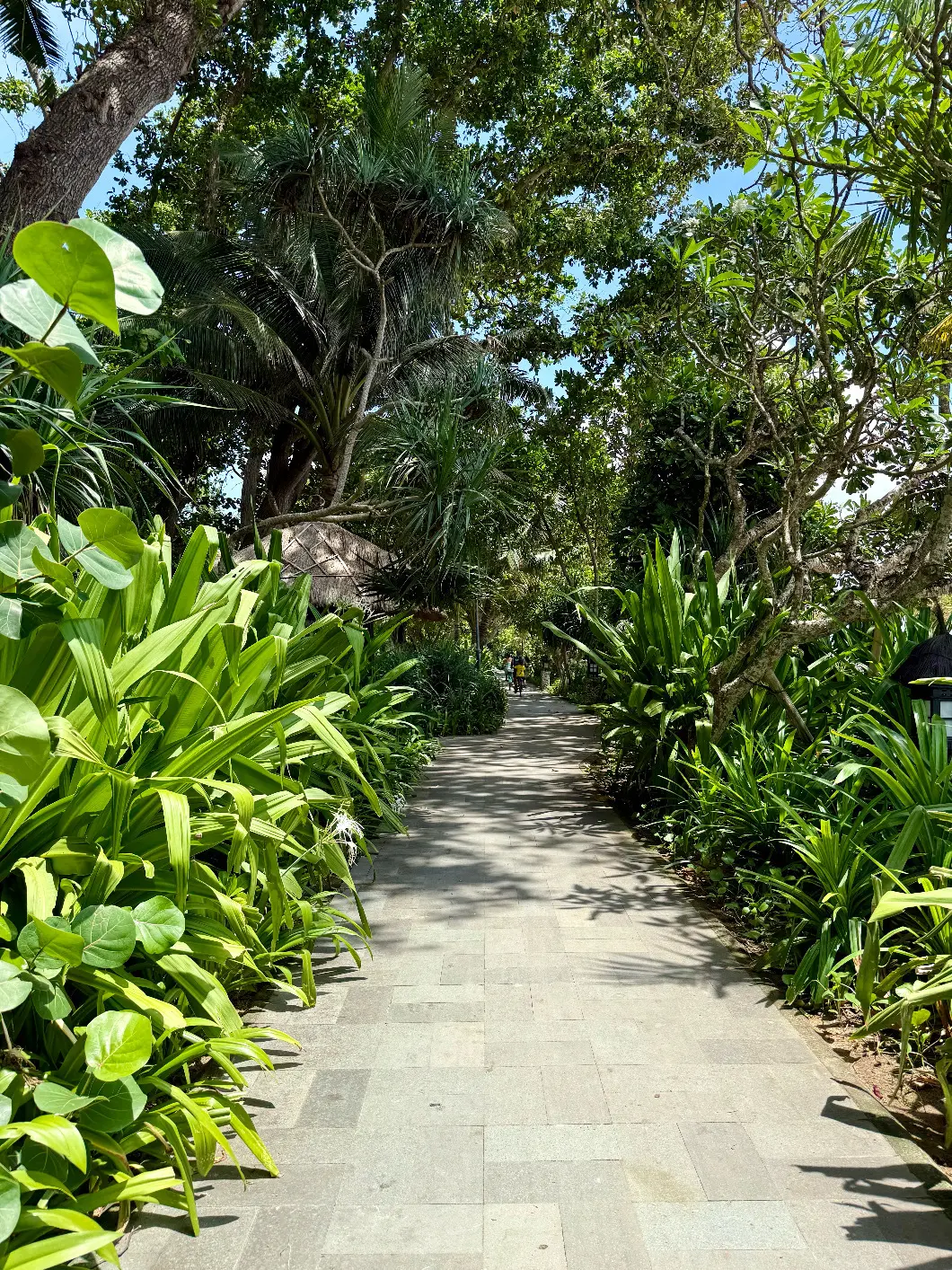 【50代夫婦旅行】 大人がのんびり楽しめるビーチと街があるバリ島サヌール地区_1_49