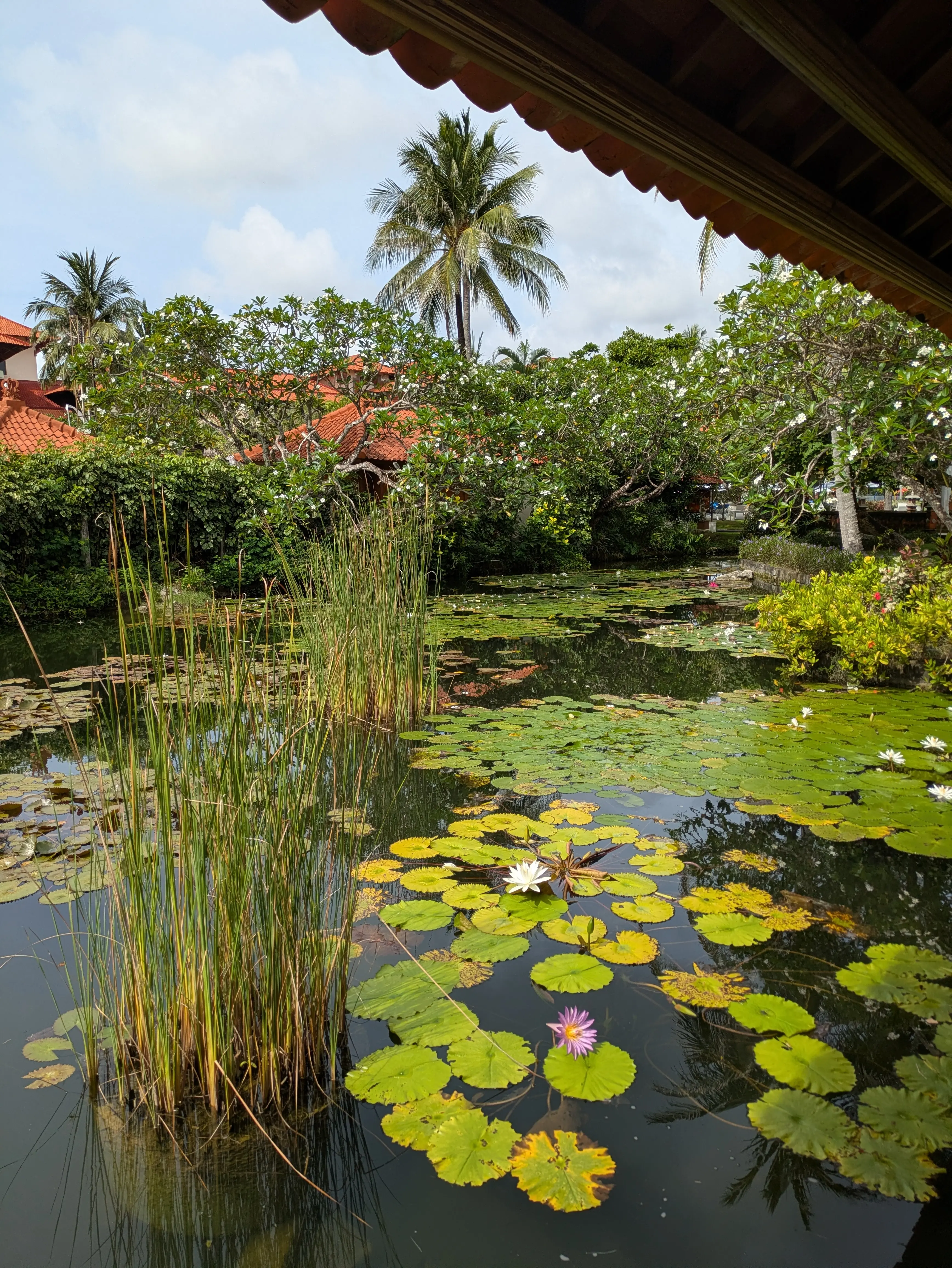 【2026冬旅】年越しは夫婦で初めてのバリ島へ！その①_1_10-2