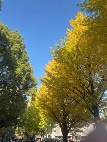 国立西洋美術館〜印象派〜展へ_1_12