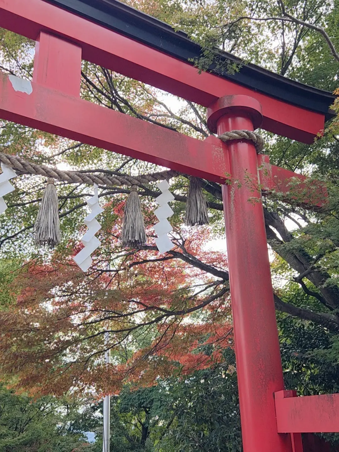 ニットジレが大活躍の秋♡高尾山に行ってきました_1_13