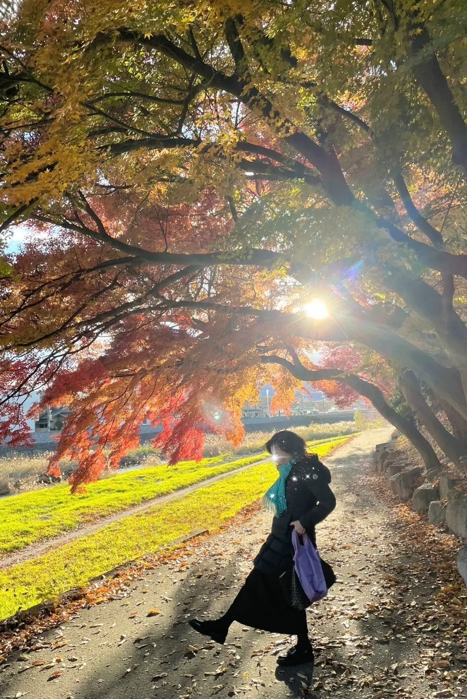 中津川のお散歩