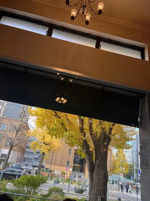 見納め紅葉～中華街から横浜街歩き_1_10