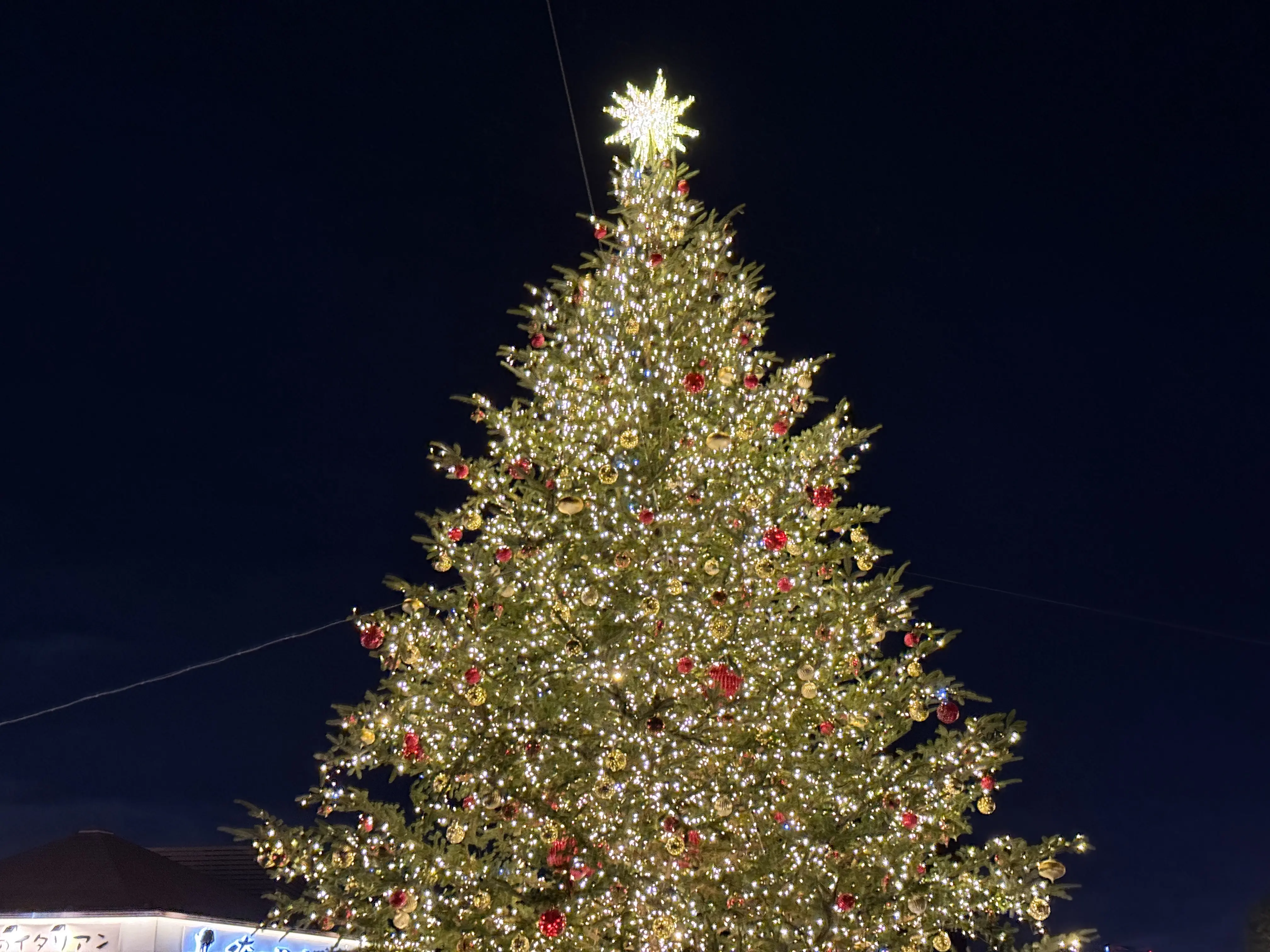 記憶辿り散歩からのグルメたち_1_6