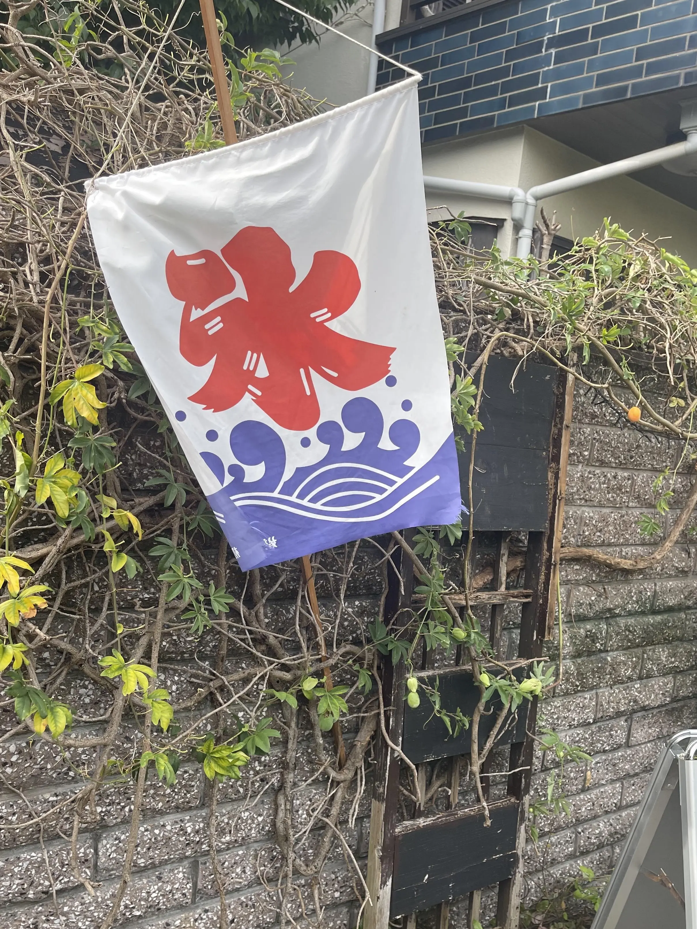 真夏の鎌倉♢グリーン✖️ホワイトコーデで美味しいランチとかき氷♡_1_7-2