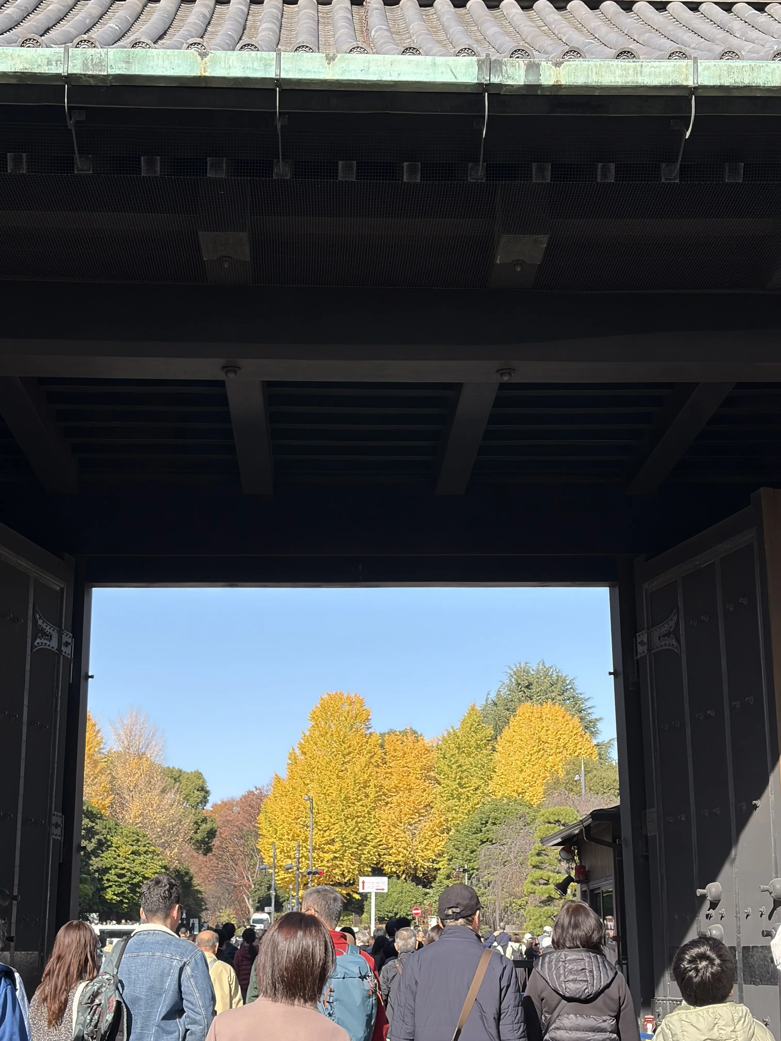 皇居の紅葉から重要文化財「明治安田生命館」内のカフェへ、華やかな丸の内を散策_1_11