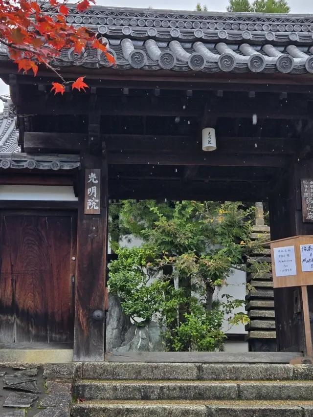 秋の京都ひとり旅・前編 〜弾丸旅の始まりは思い出の場所から〜_1_11
