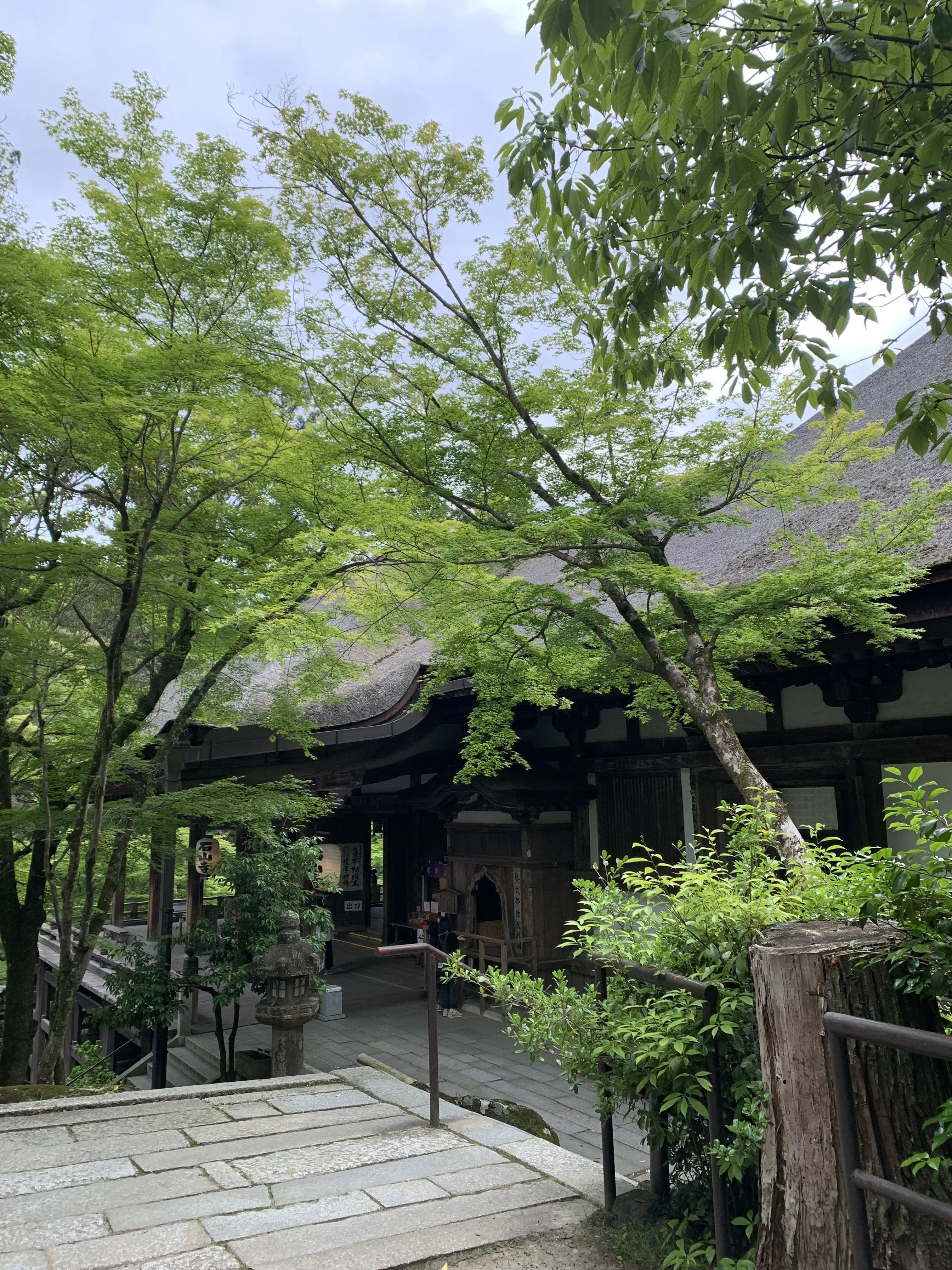 新緑が美しい石山寺の本堂