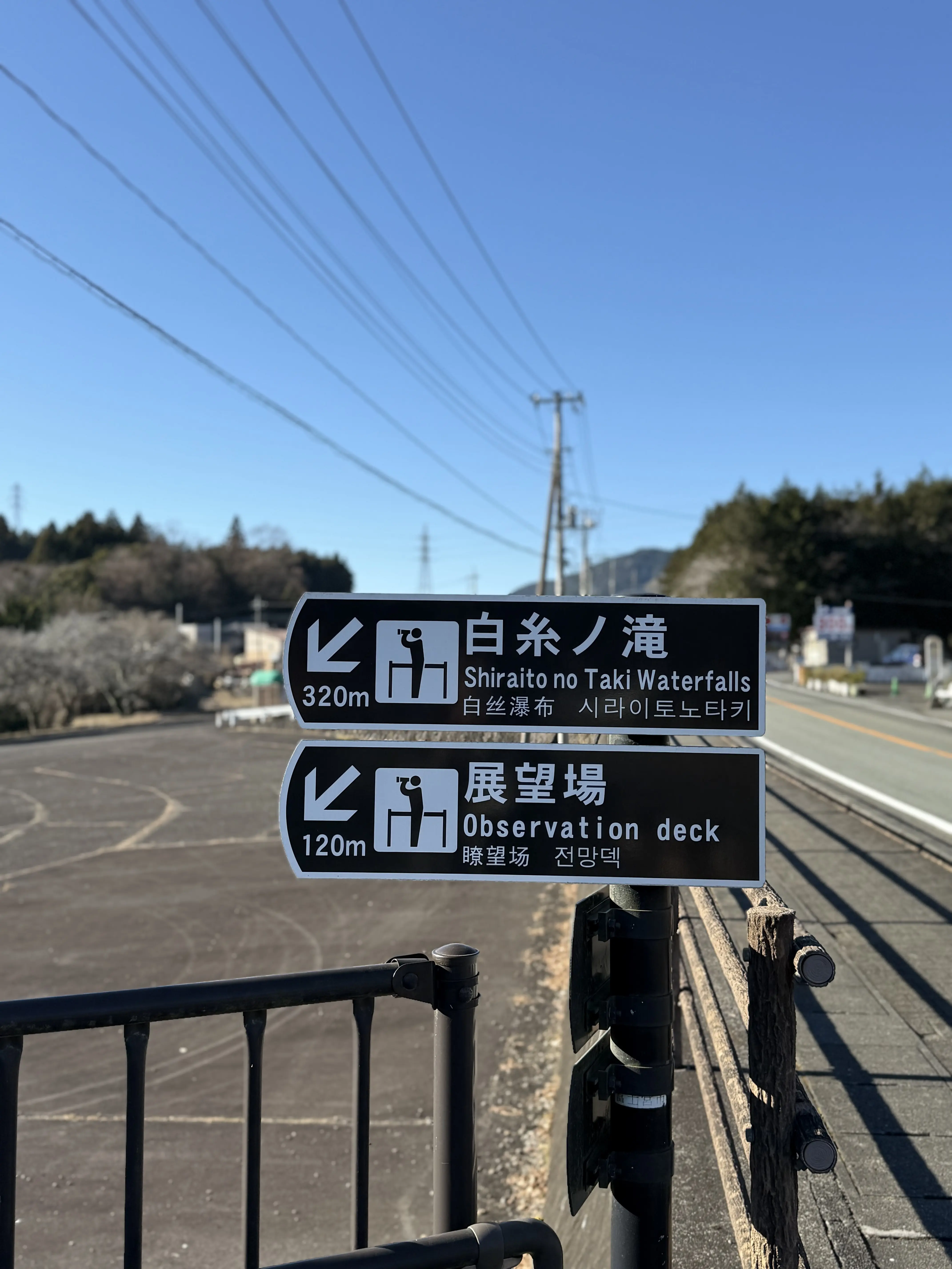 富士山 〜 山梨 白糸の滝へ、2025年は絶景スポットからスタートしました_1_6