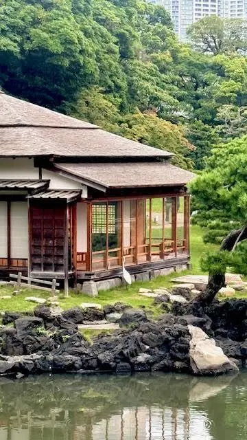 浜離宮内を散策