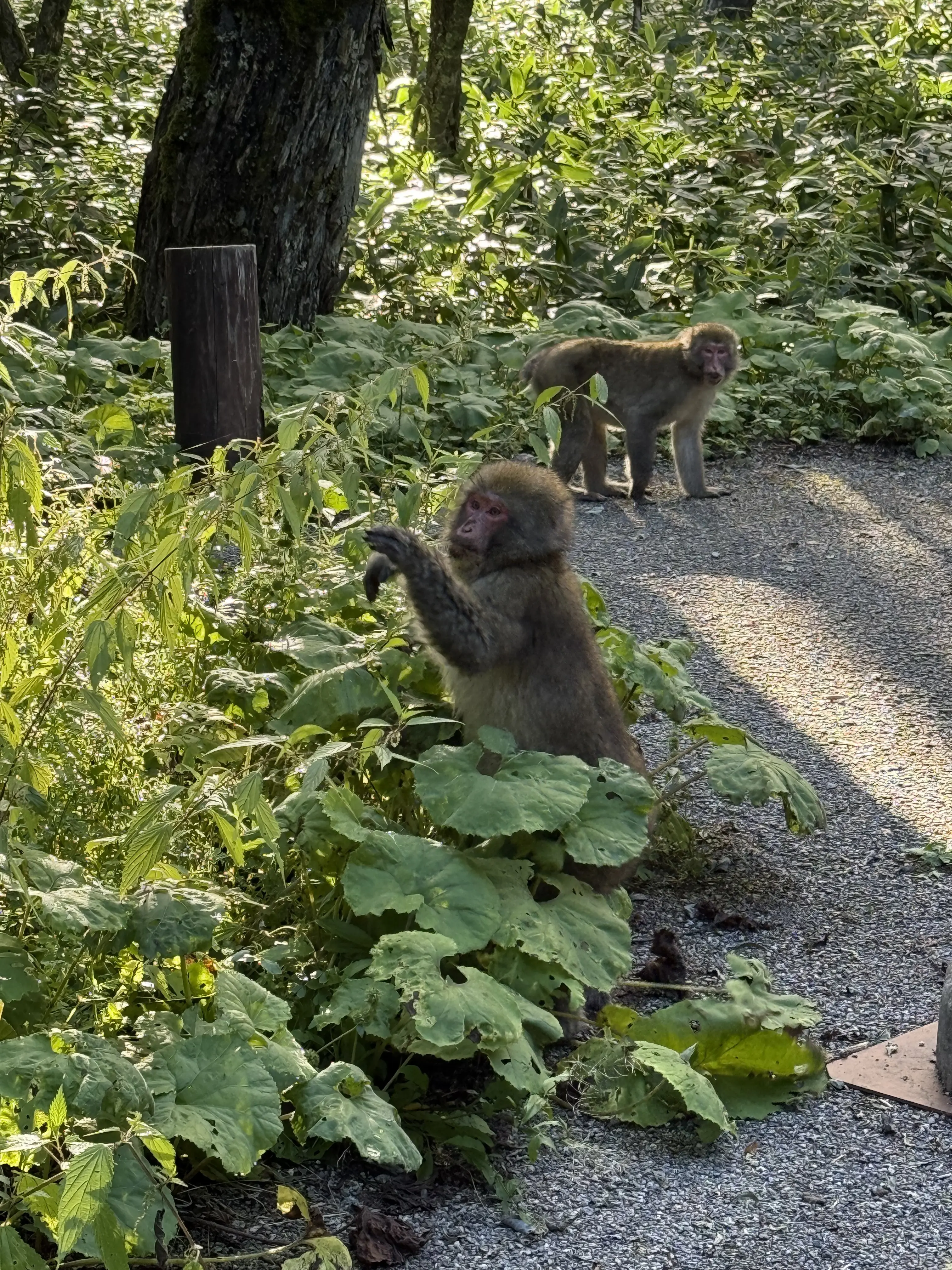 上高地で18kmのトレッキング！！絵葉書のような景色を歩いた1日♡_1_10