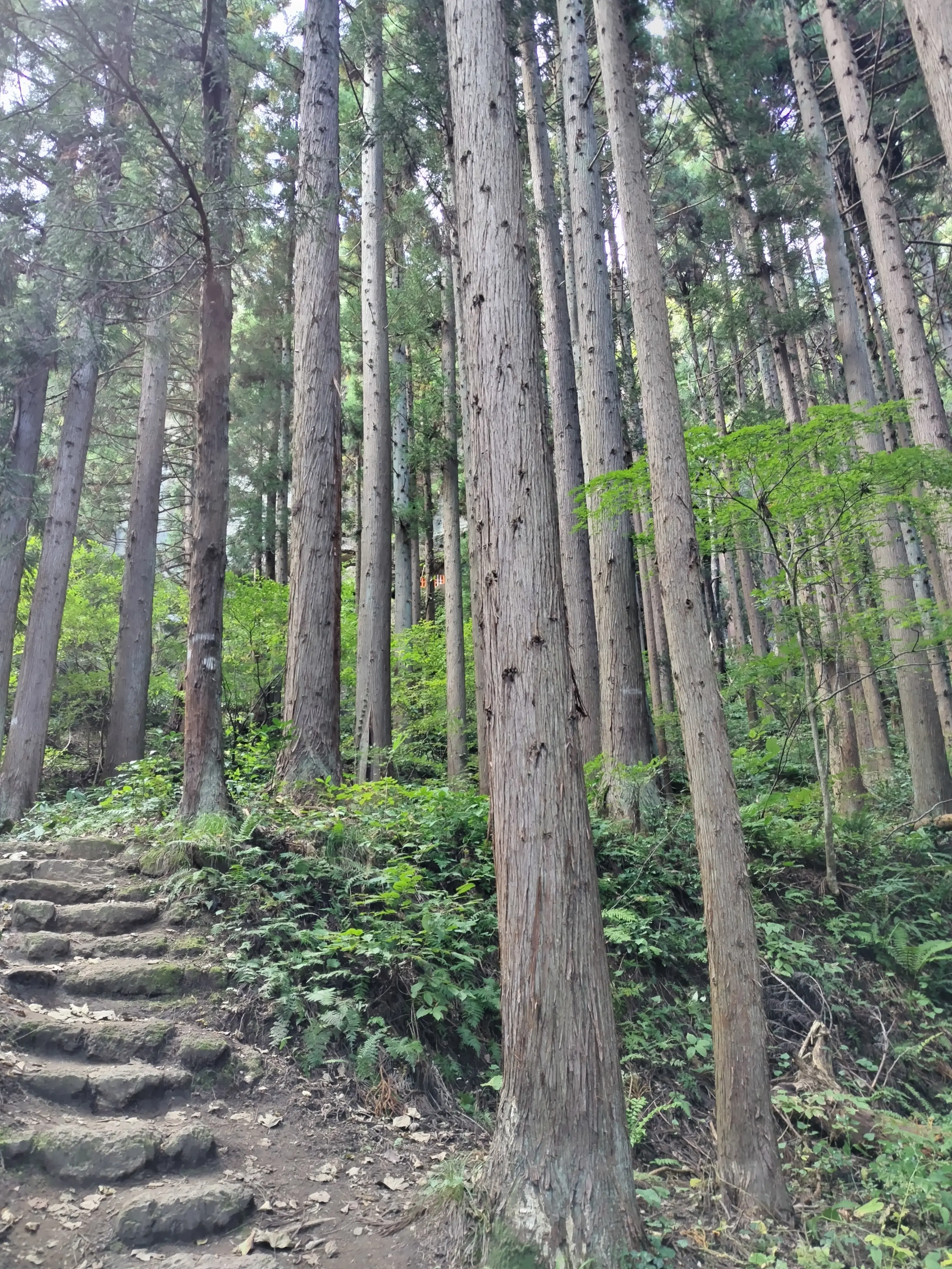 峯の浦・垂水遺跡