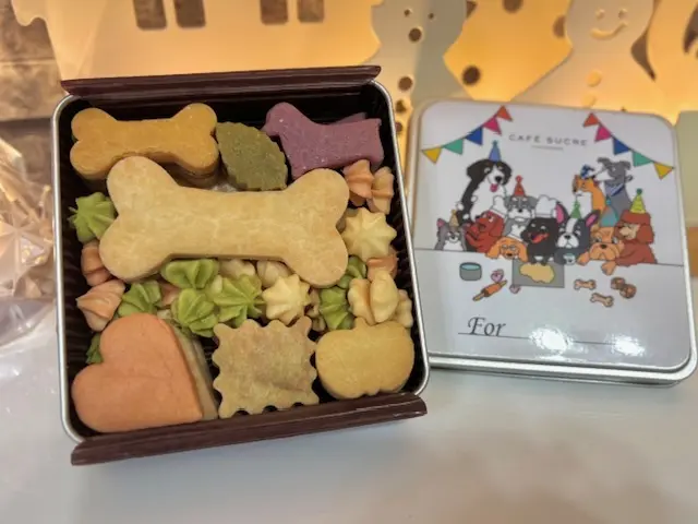 ワンちゃんとくつろげる北欧風カフェへ_1_9