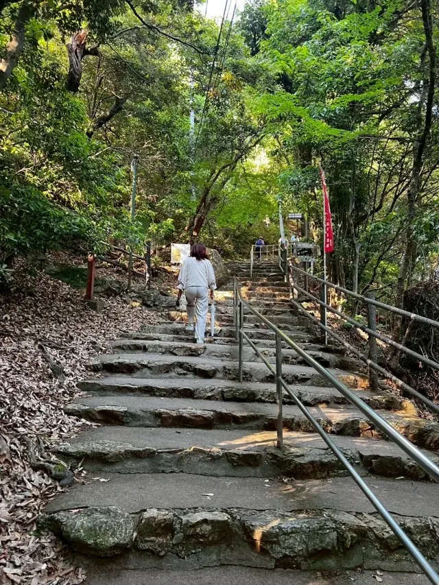 岐阜城楽市と金華山ロープウェー_1_10